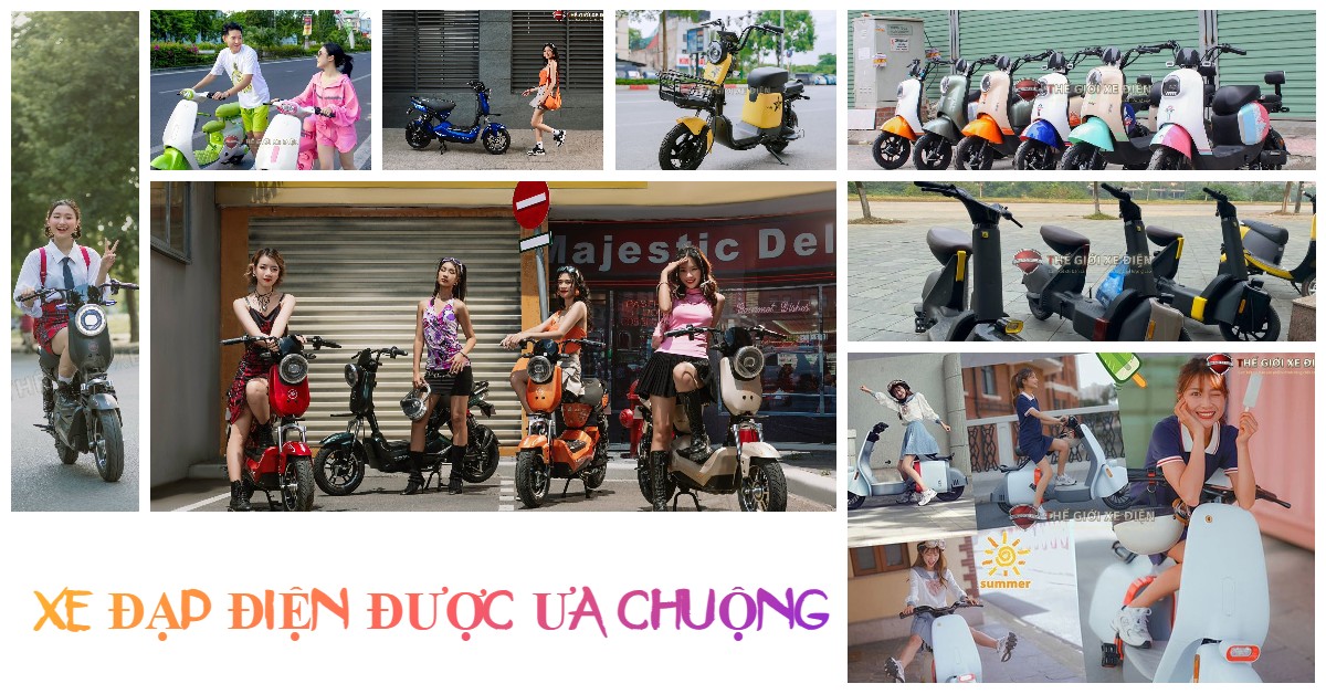 xe đạp điện giá rẻ